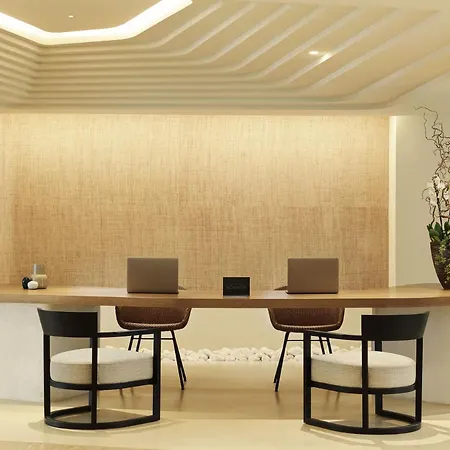 Aegon Mykonos, Autograph Collection 酒店 5*