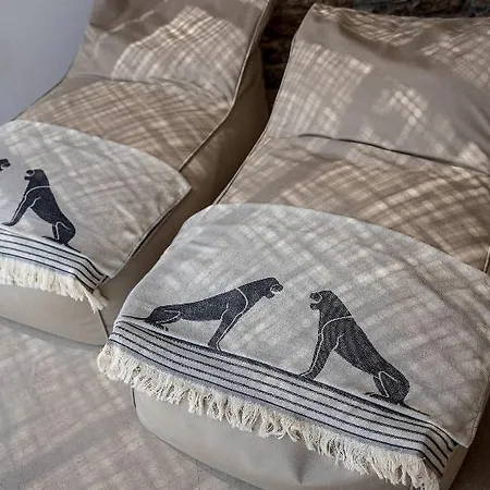 Aegon Mykonos, Autograph Collection Kaló Livádi